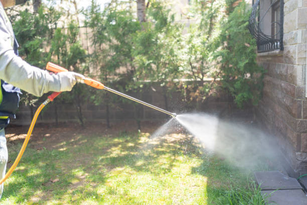 Best Best Pest Control Companies  in Dry Ridge, KY