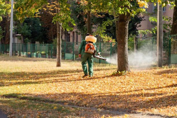 Best Local Pest Control Services  in Dry Ridge, KY